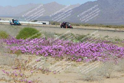 media/Feb-04-2023-SoCal Trackdays (Sat) [[8a776bf2c3]]/Turn 15 Inside Blooming (1050am)/